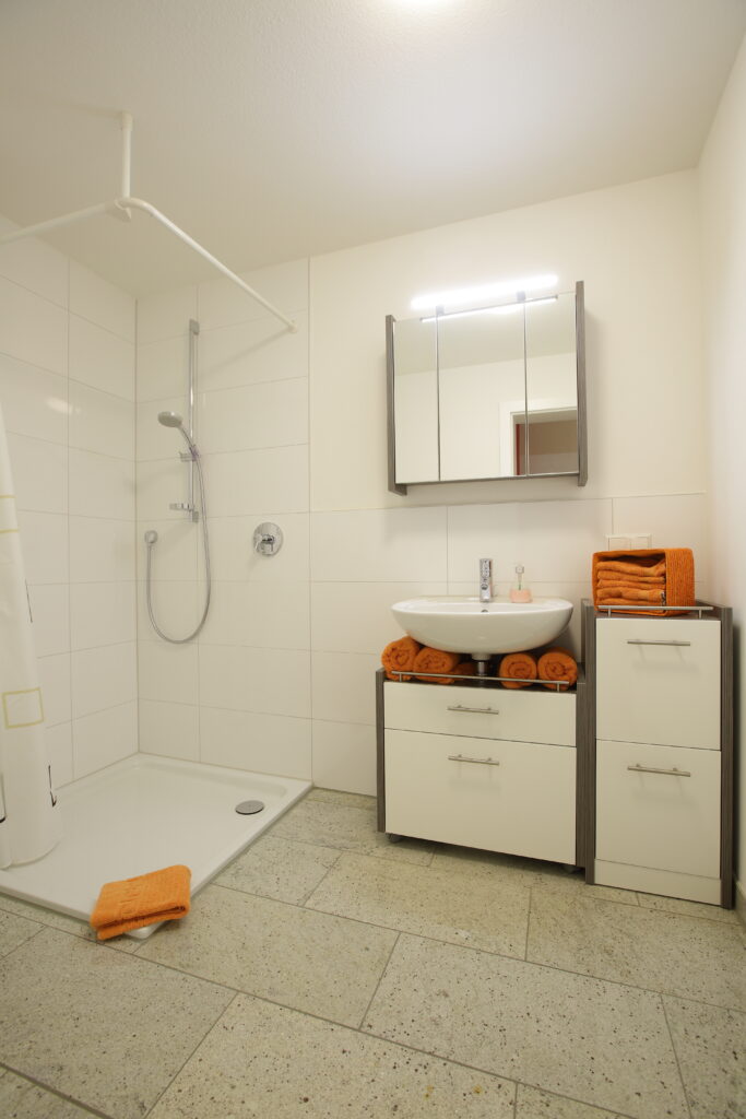Dusche mit WC der Ferienwohnung Rheingold in Neuenburg am Rhein
